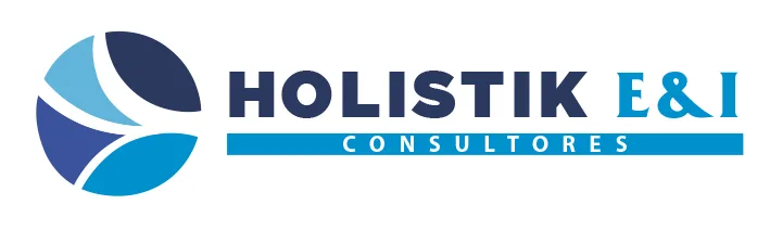 HOLISTIK E&I CONSULTORES