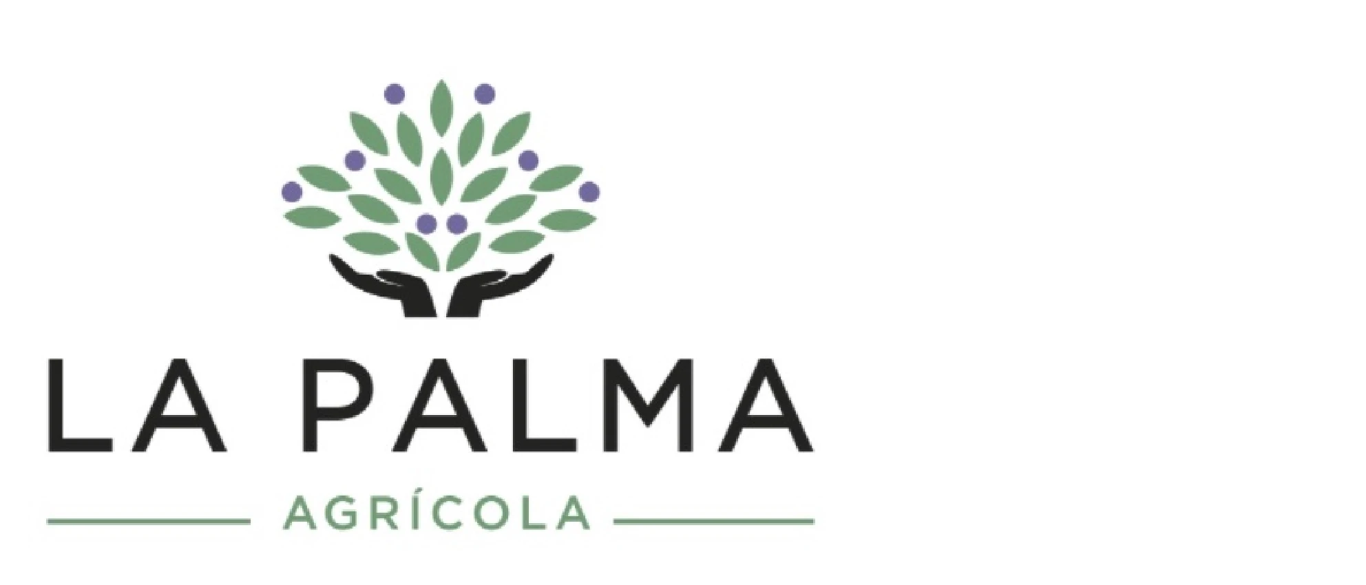 LA PALMA AGRICOLA