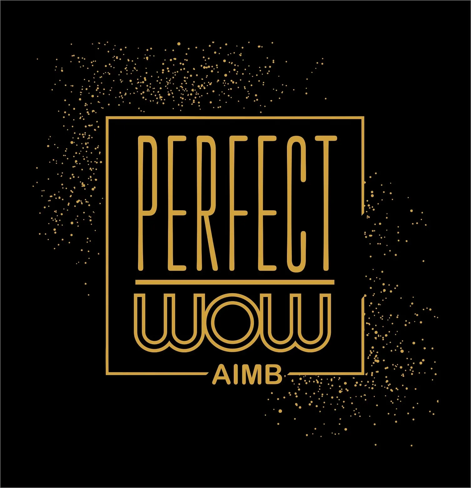 PERFECT WOW AIMB