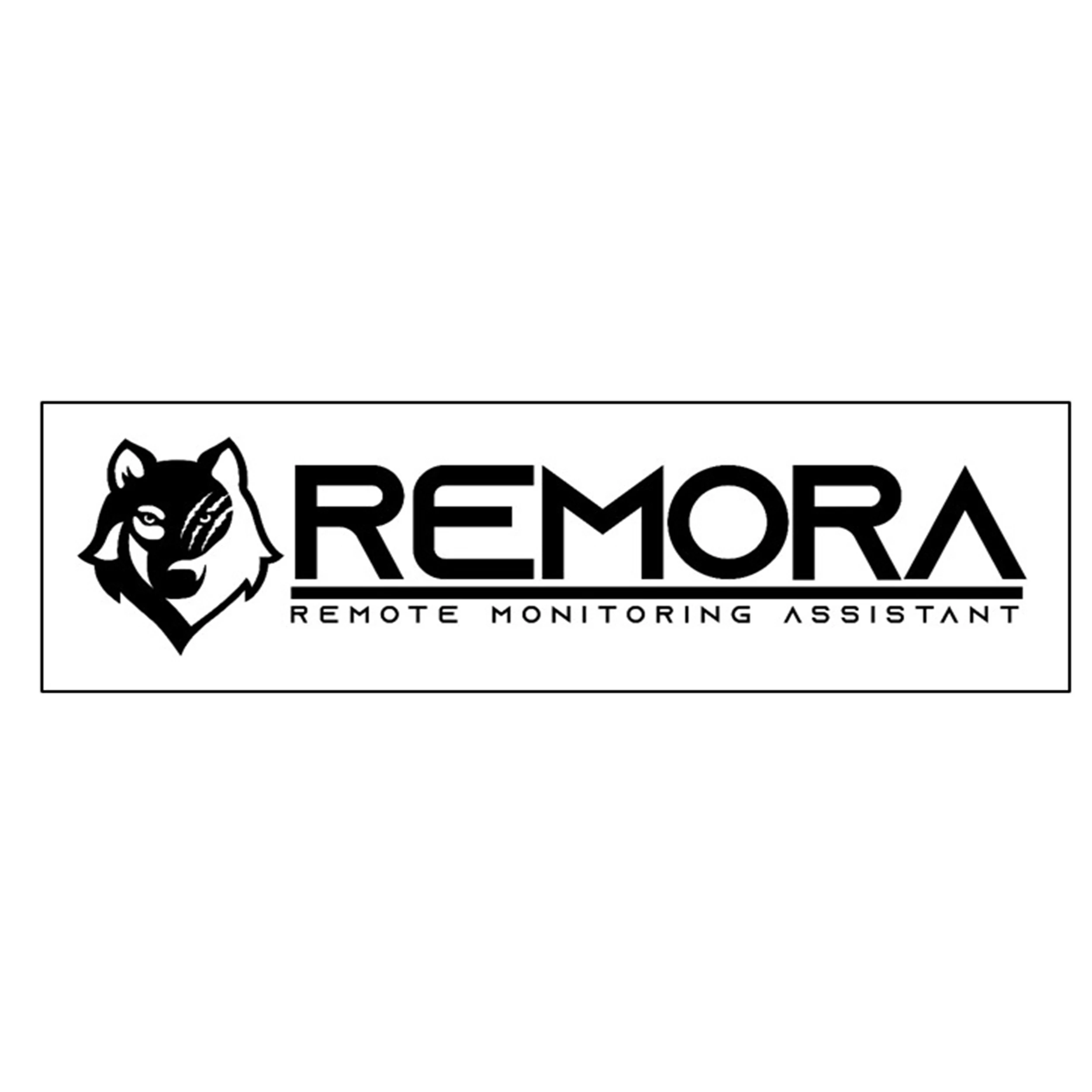 REMORA, Remote monitoring assistant