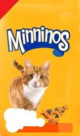 Minninos
