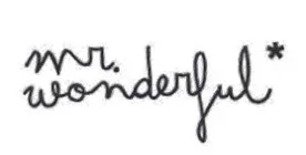 MR. WONDERFUL