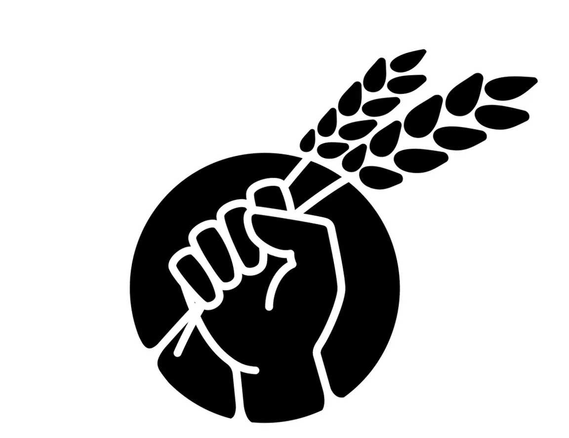 Acta 1351491