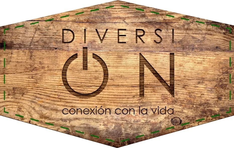 DIVERSI ON CONEXIÓN CON LA VIDA