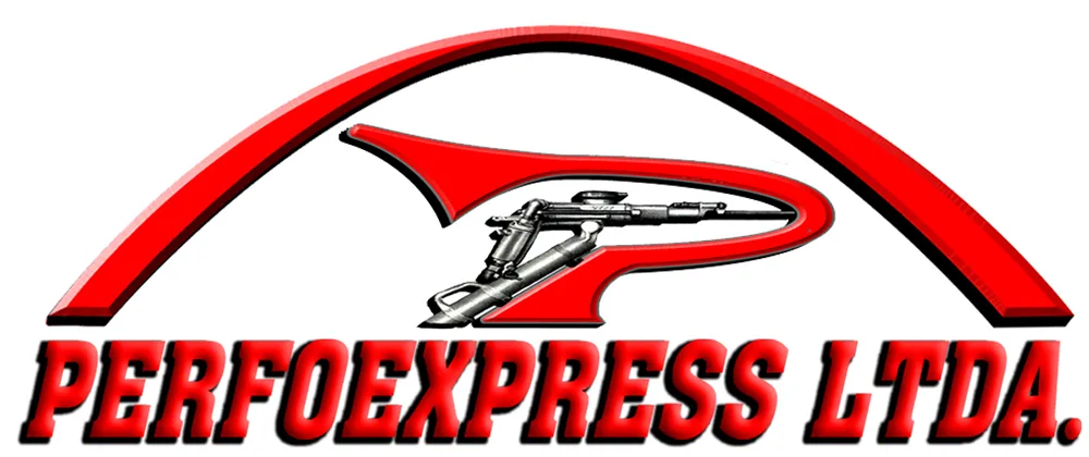 P PERFOEXPRESS LTDA.