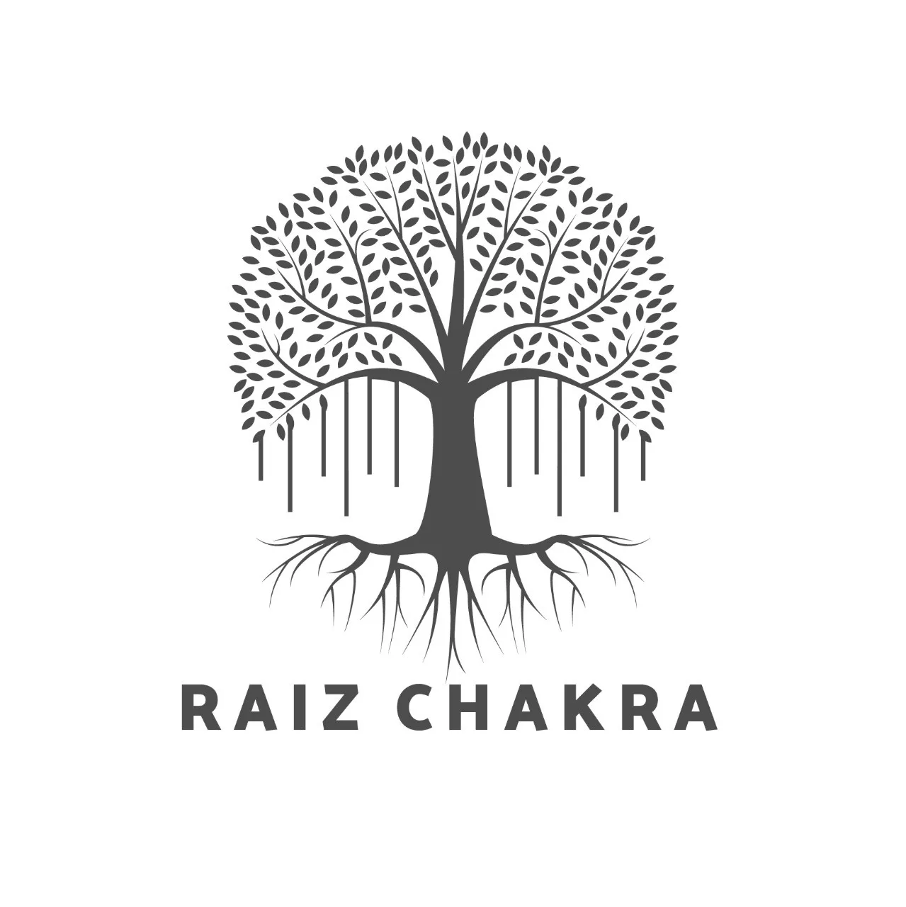 RAIZ CHAKRA