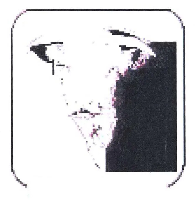 Acta 934493