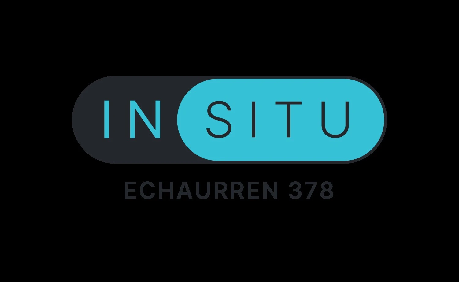 INSITU ECHAURREN 378