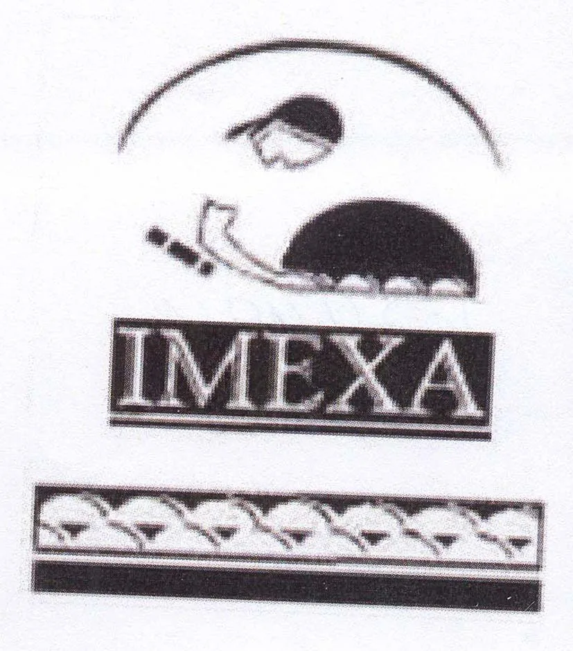 IMEXA