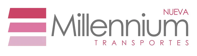 NUEVA MILLENNIUM TRANSPORTES