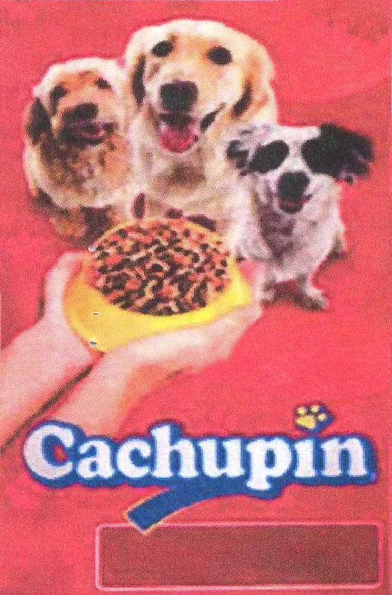 CACHUPIN