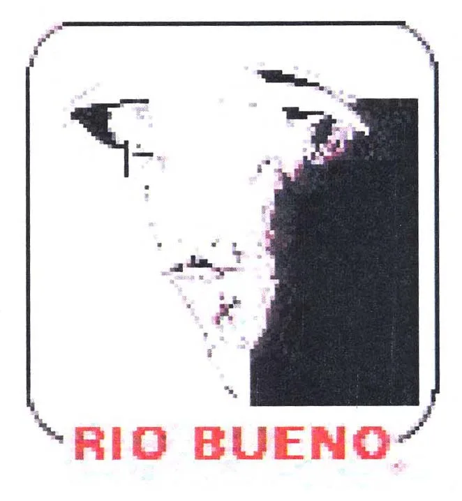 RIO BUENO