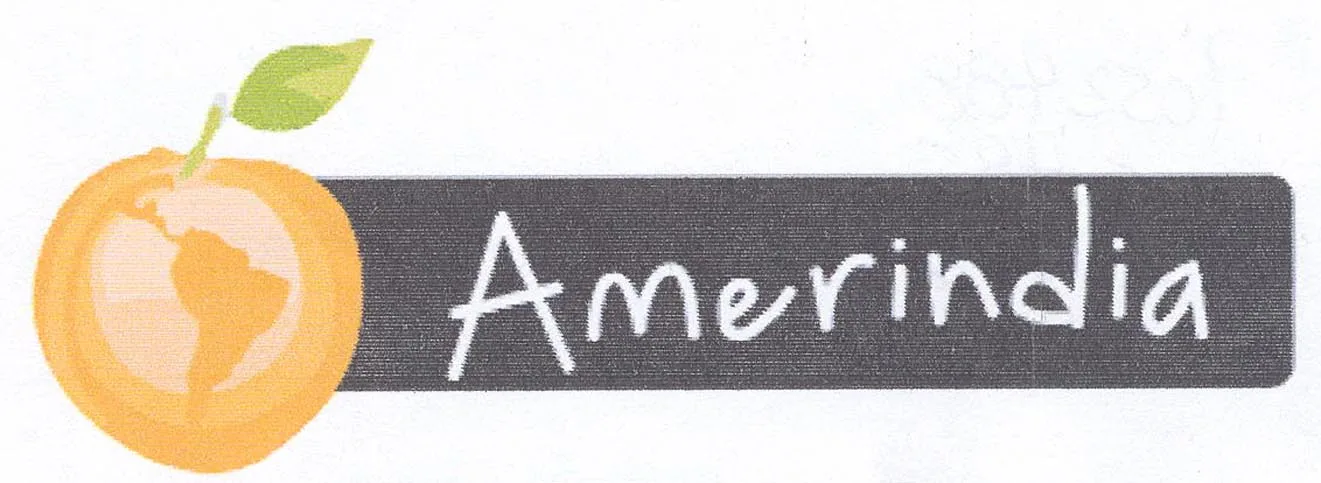 AMERINDIA