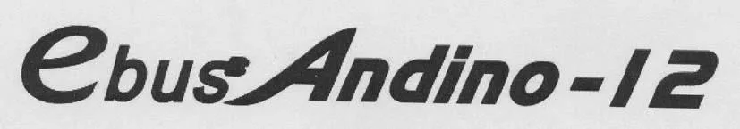 EBUS ANDINO - 12
