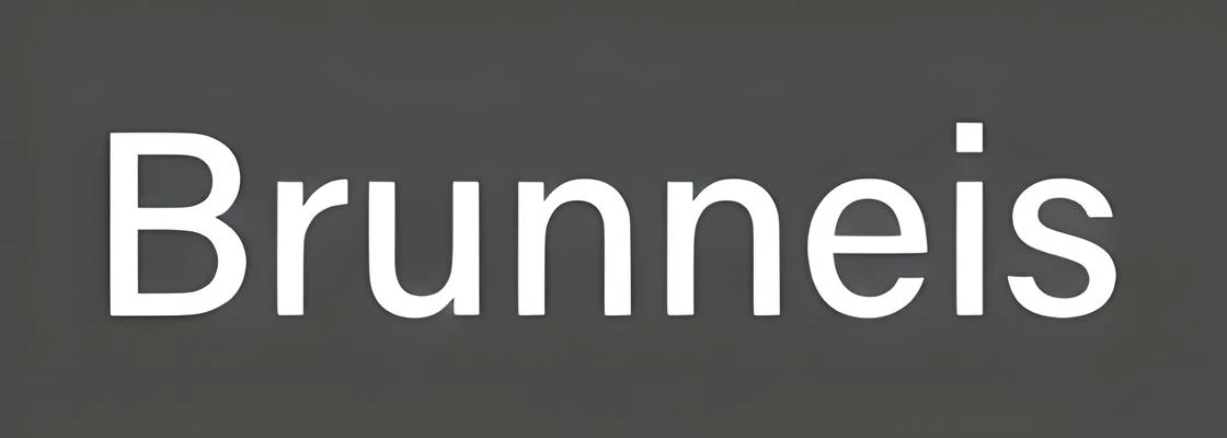 BRUNNEIS