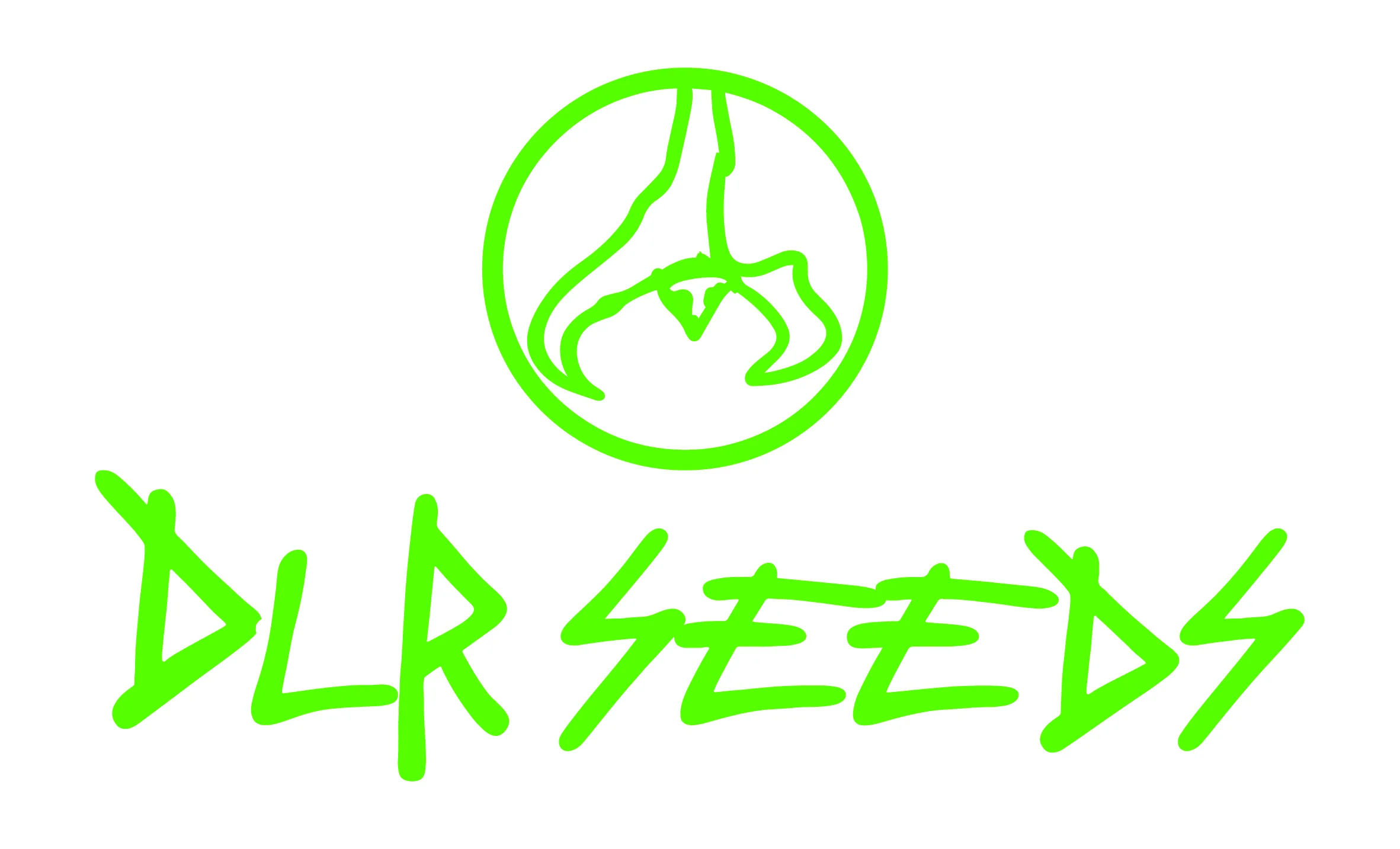 DLR SEEDS