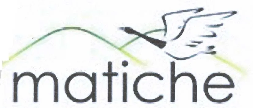 MATICHE