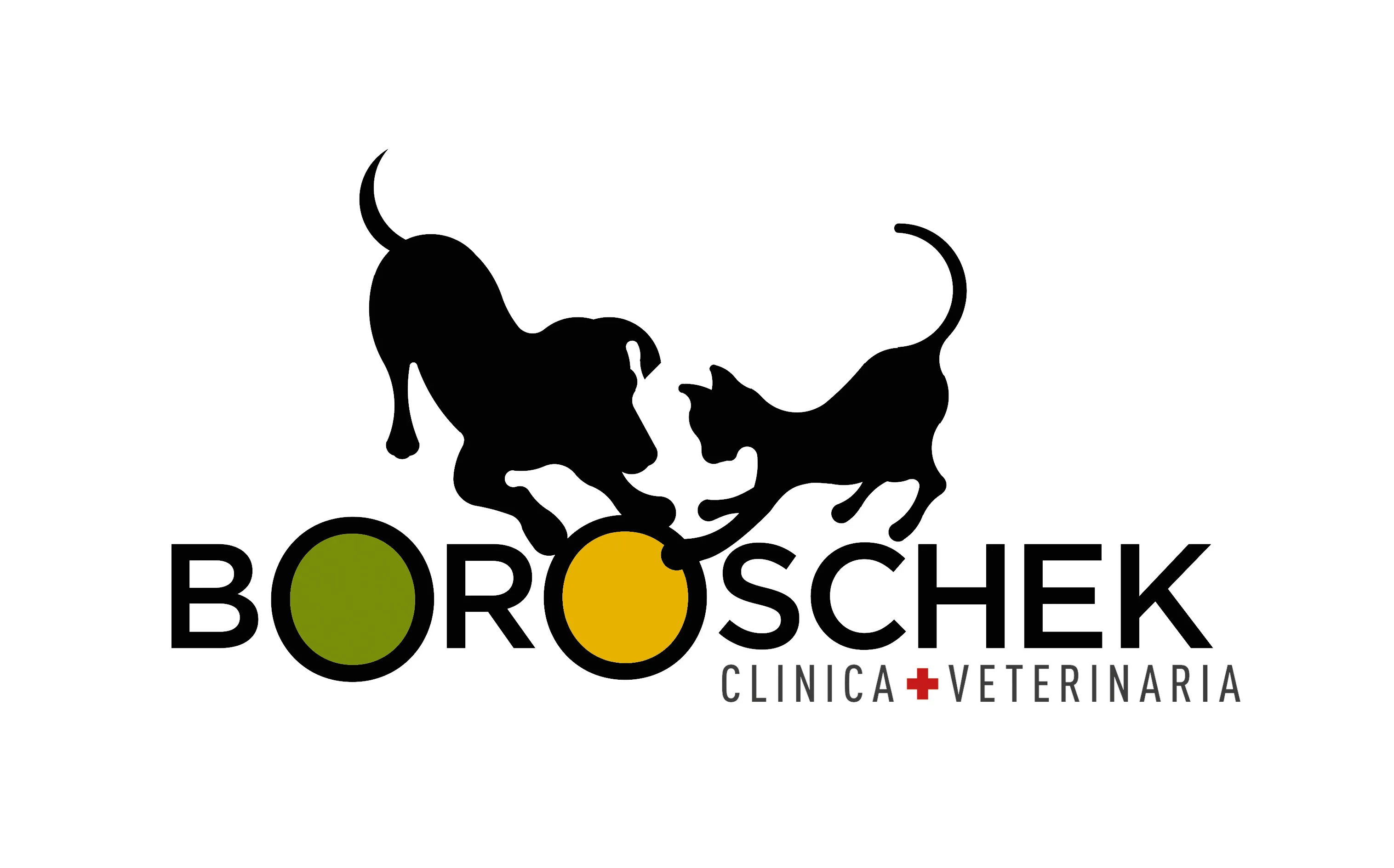 CLINICA VETERINARIA BOROSCHEK