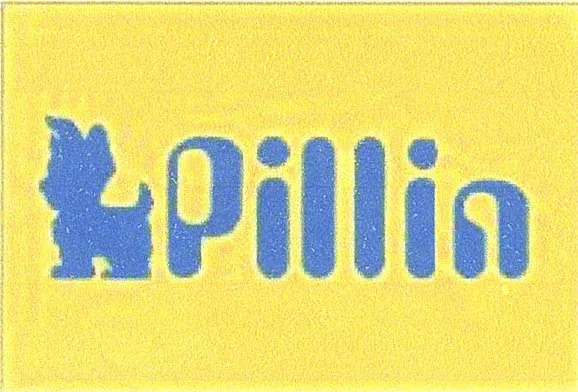 PILLIN