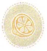 Acta 1260500