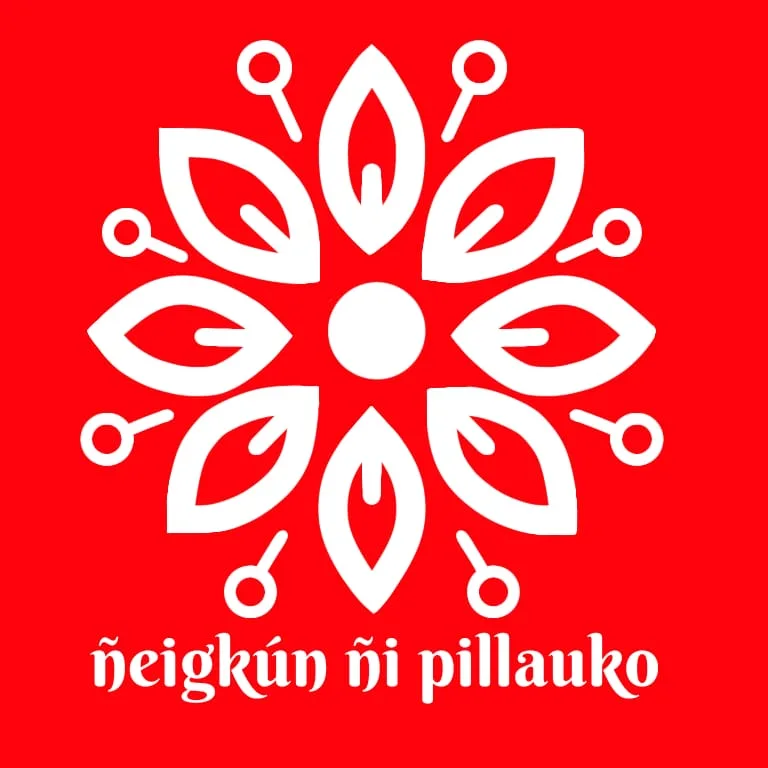 Ñeigkún ñi Pillauko