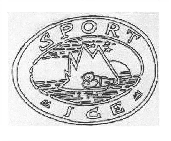 SPORT ICE
