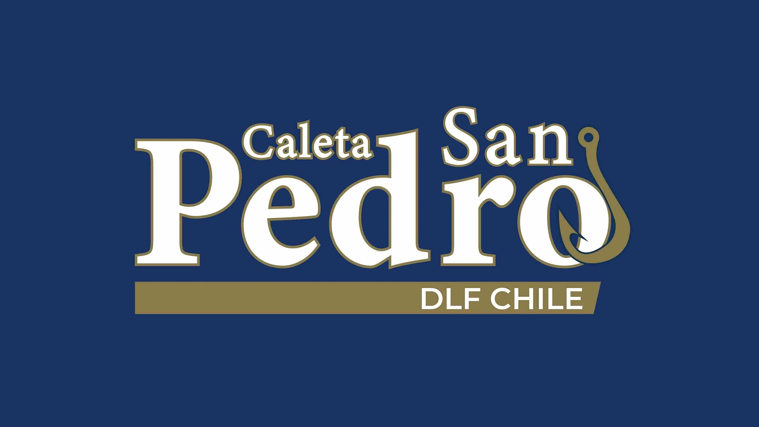 Caleta San Pedro DLF CHILE