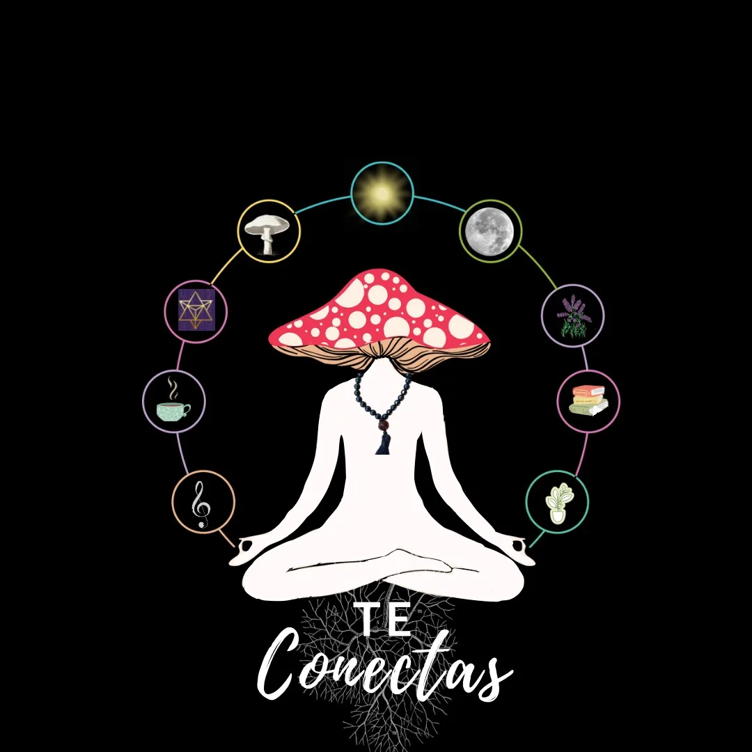 Te Conectas