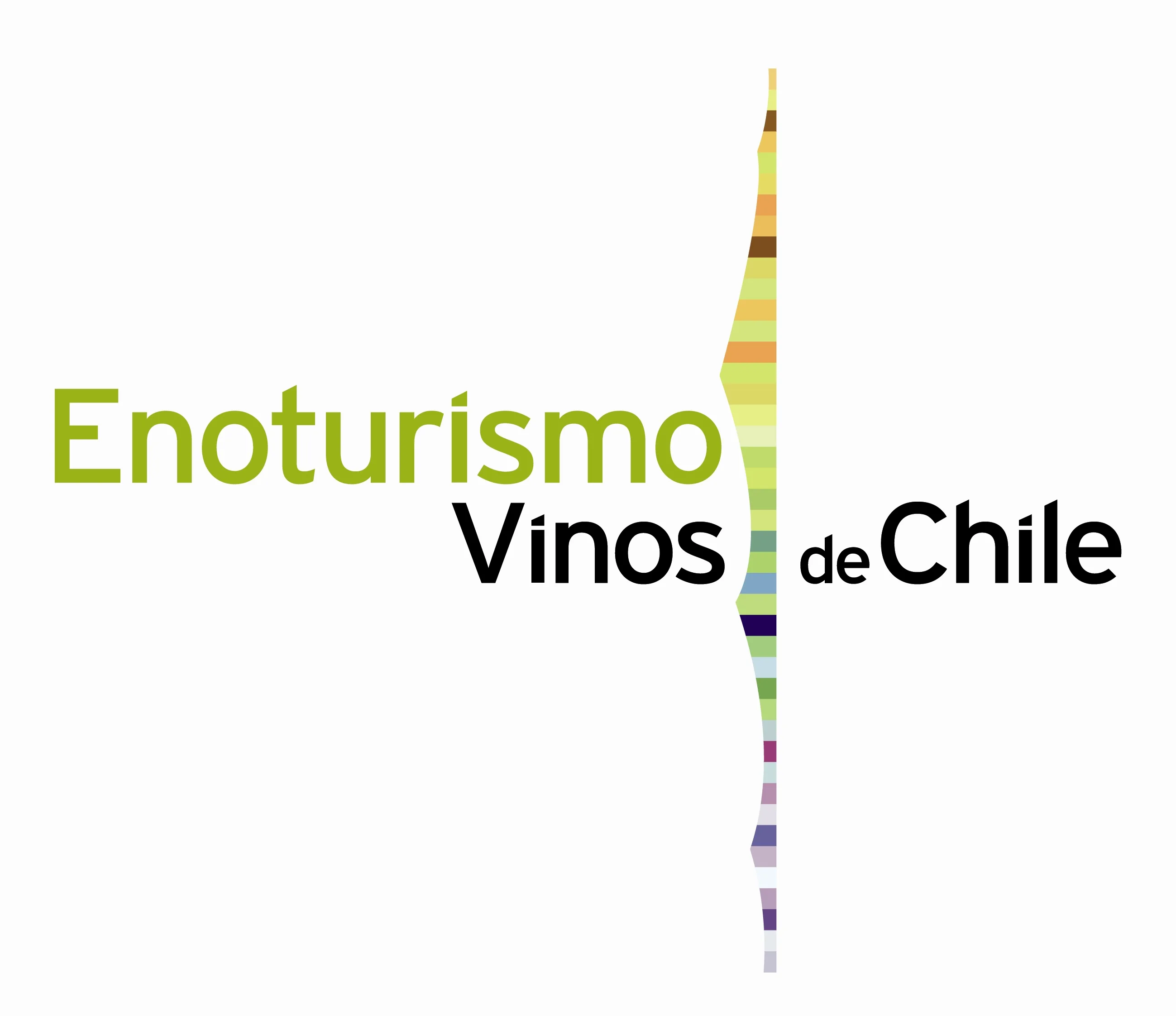 ENOTURISMO VINOS DE CHILE