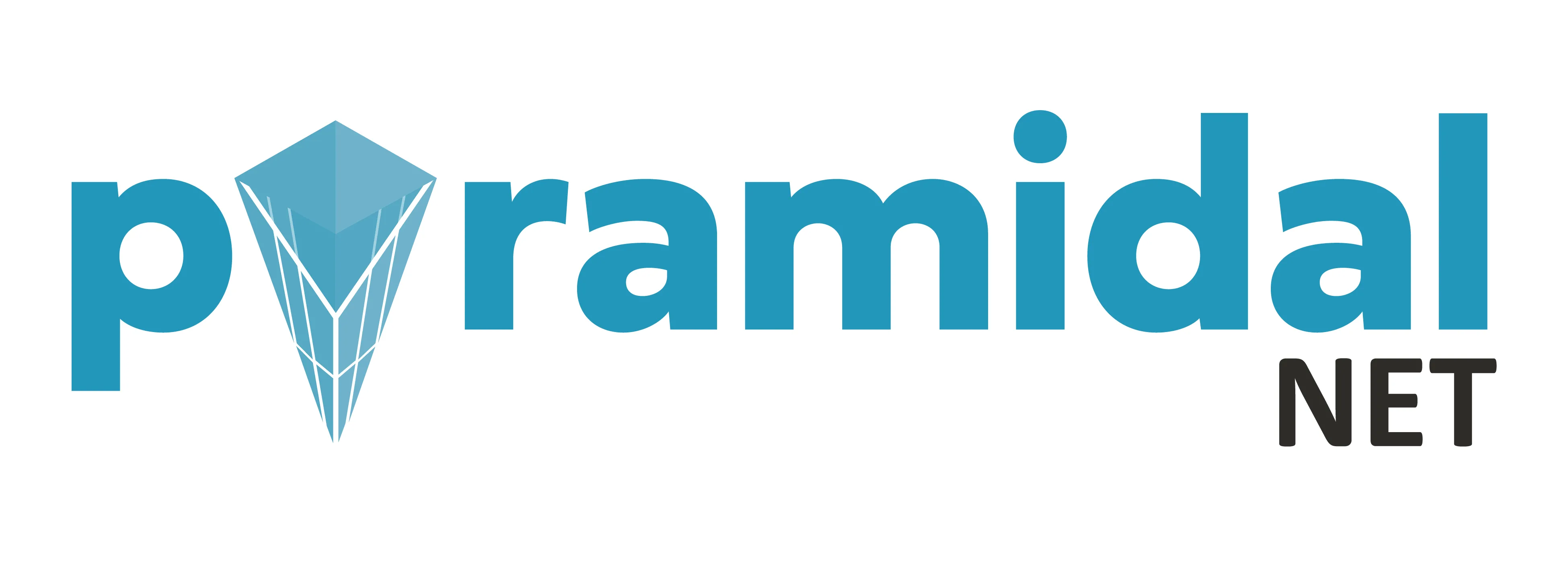 PYRAMIDAL NET