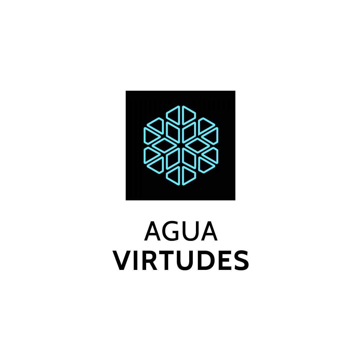 Agua Virtudes