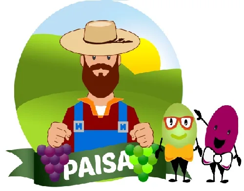 PAISA