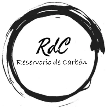 RDC RESERVORIO DE CARBÓN