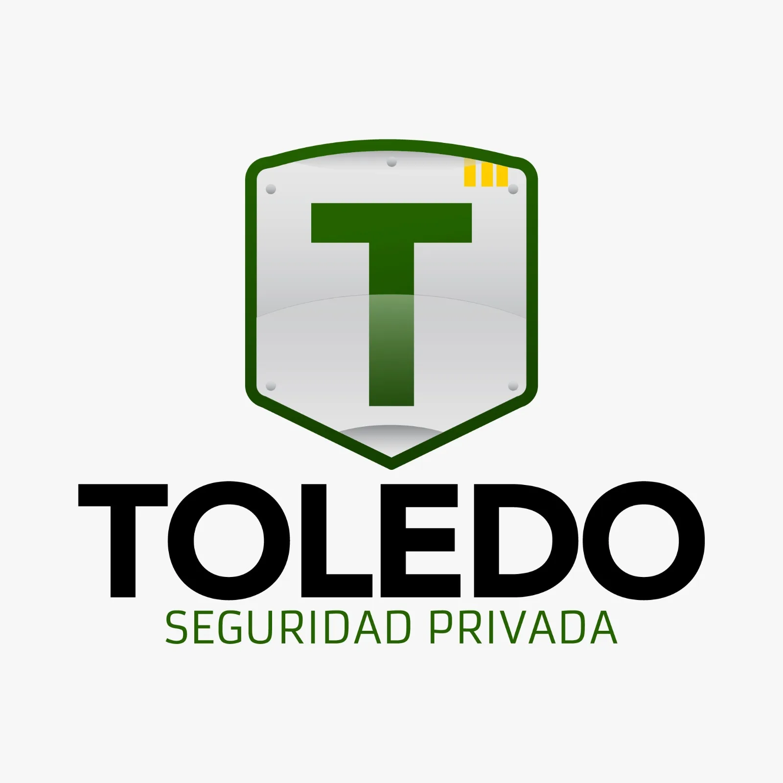 T TOLEDO SEGURIDAD PRIVADA