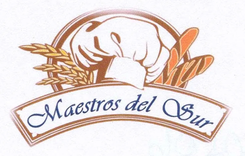 MAESTROS DEL SUR
