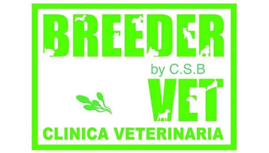 BREEDER BY C.S.B VET CLÍNICA VETERINARIA