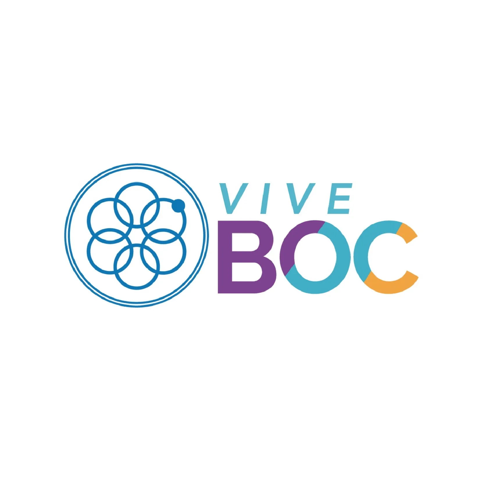 VIVE BOC