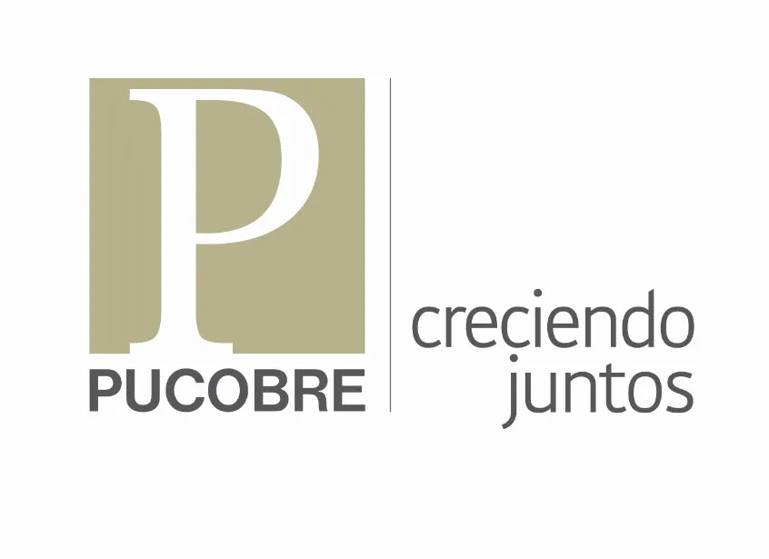P PUCOBRE CRECIENDO JUNTOS