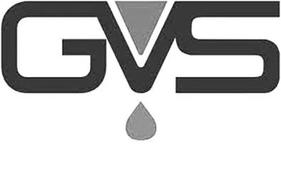GVS