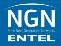 NGN ENTEL NEXT GENERATION NETWORKS