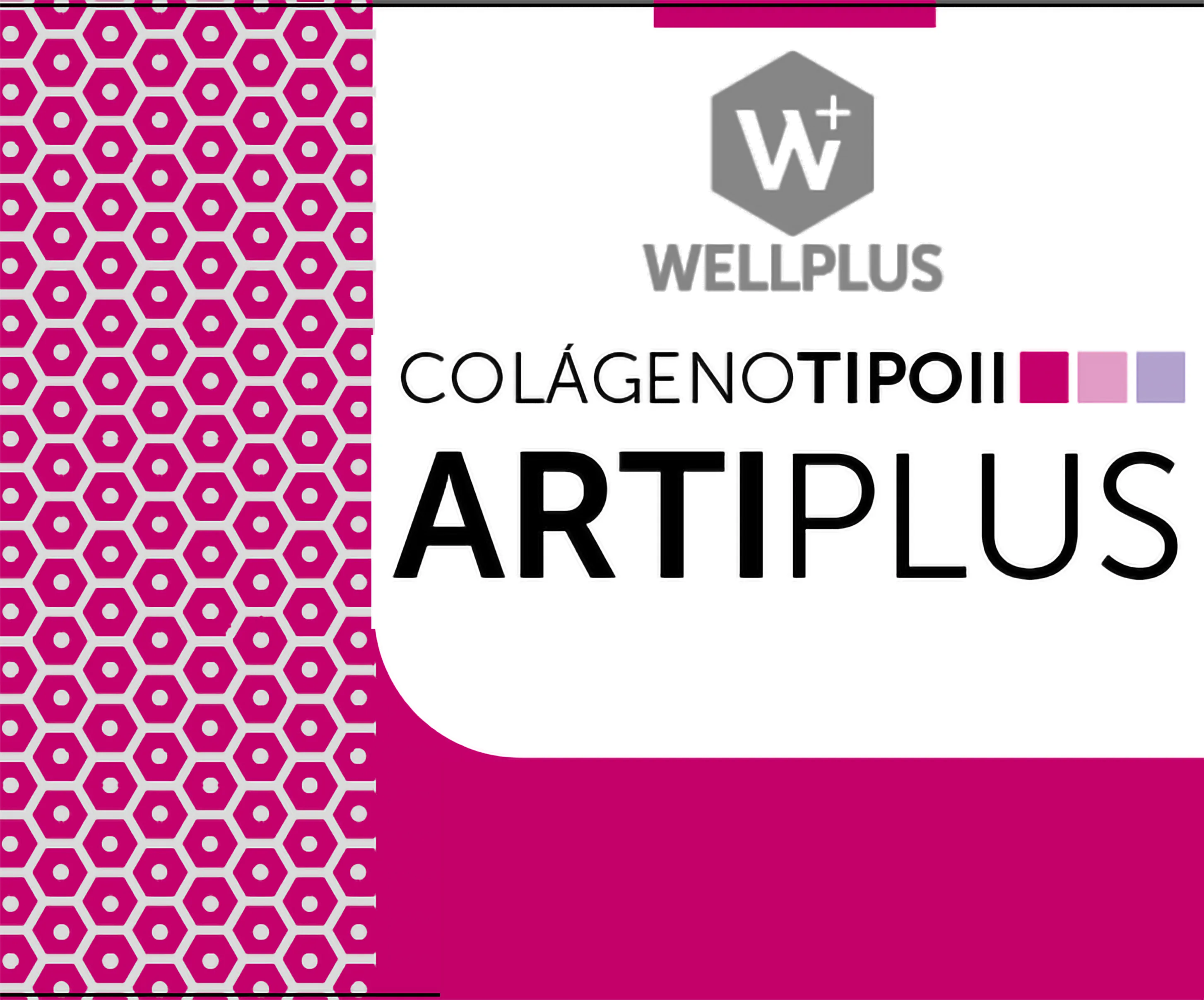 W+ WELLPLUS COLÁGENOTIPOll ARTIPLUS