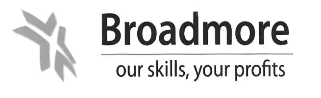 BROADMORE OUR SKILLS, YOUR PROFITS