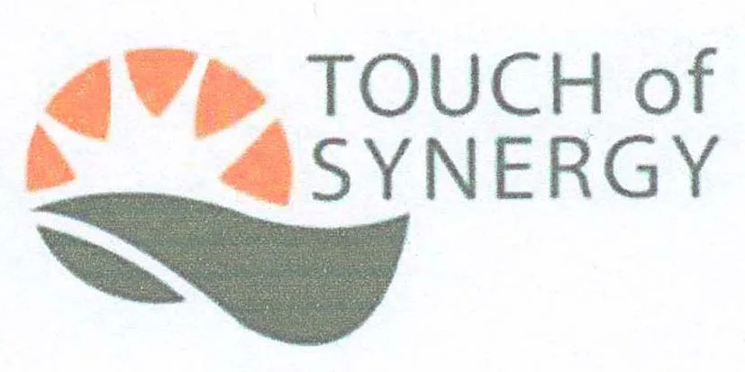 TOUCH OF SYNERGY