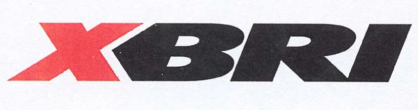 XBRI