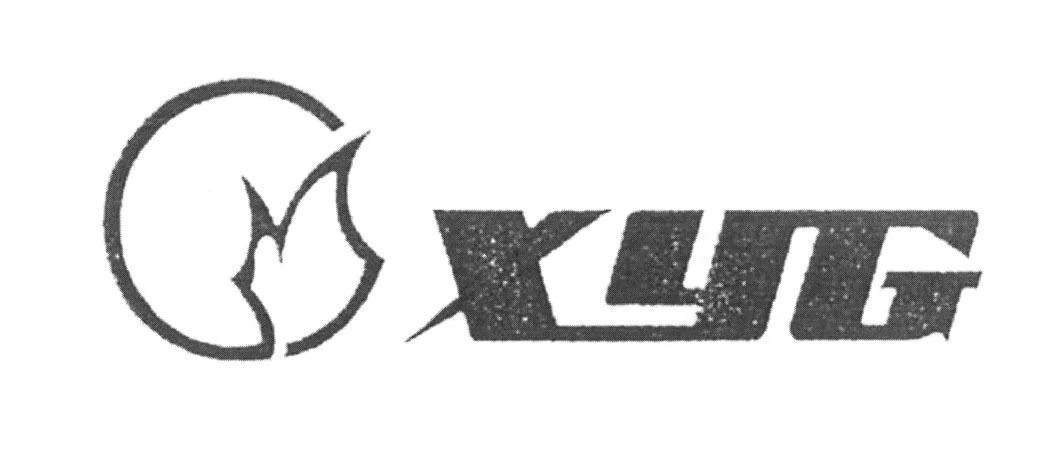 XYG