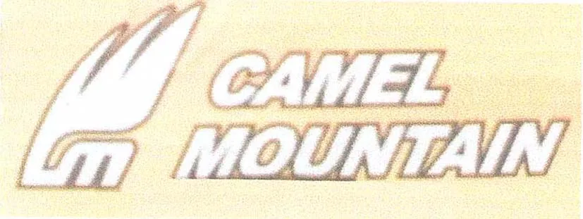 CAMEL MOUNTAIN