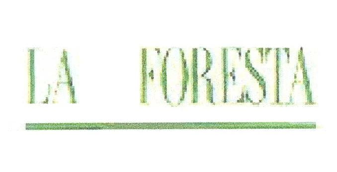 LA FORESTA