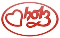 HOLZ