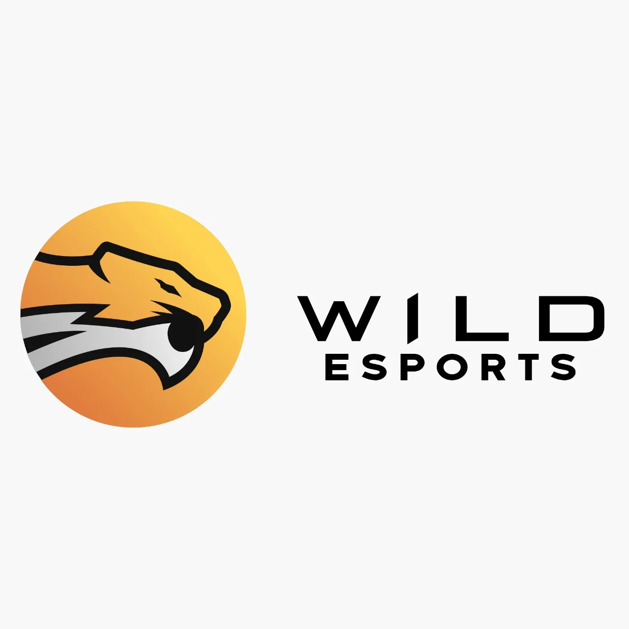 Wild Esports