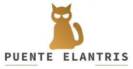 PUENTE ELANTRIS